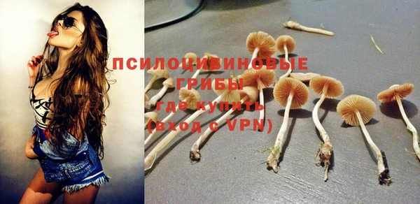 соль ск Армянск