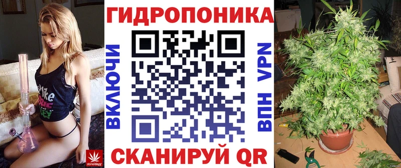 Купить  Дюртюли  Канабис AK-47 